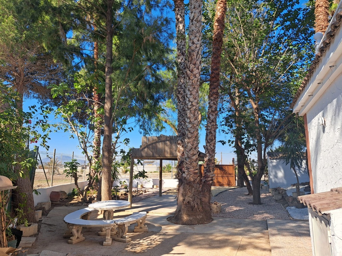 RS10063 - Image 3